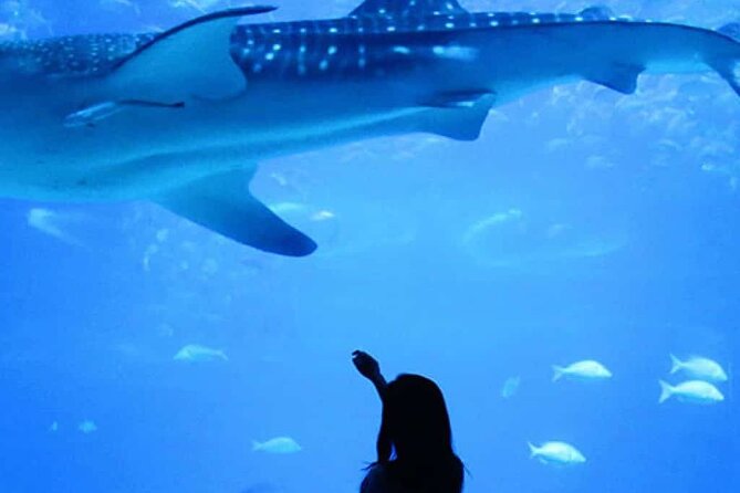 Antalya Aquarium With Entrance and Roundtrip Transfer From Alanya - Minimum Travelers Requirement