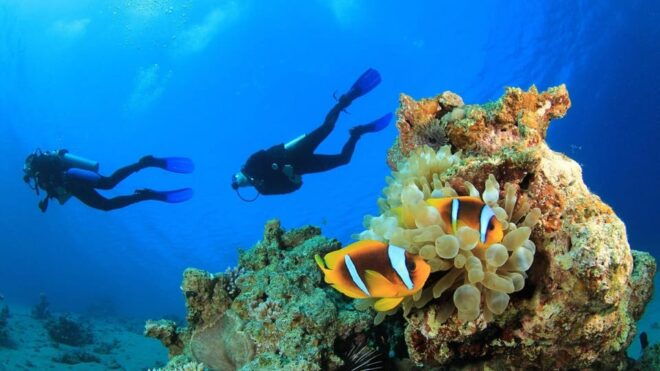 Antalya/ Belek: Scuba Diving Tour With 2 Time Dive & Lunch - Boat and Lunch Experience