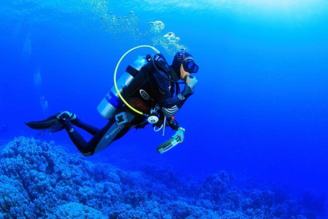 Antalya/ Belek: Scuba Diving Tour With 2 Time Dive & Lunch - Important Information