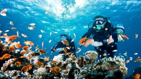 Antalya/ Belek: Scuba Diving Tour With 2 Time Dive & Lunch - Customer Reviews