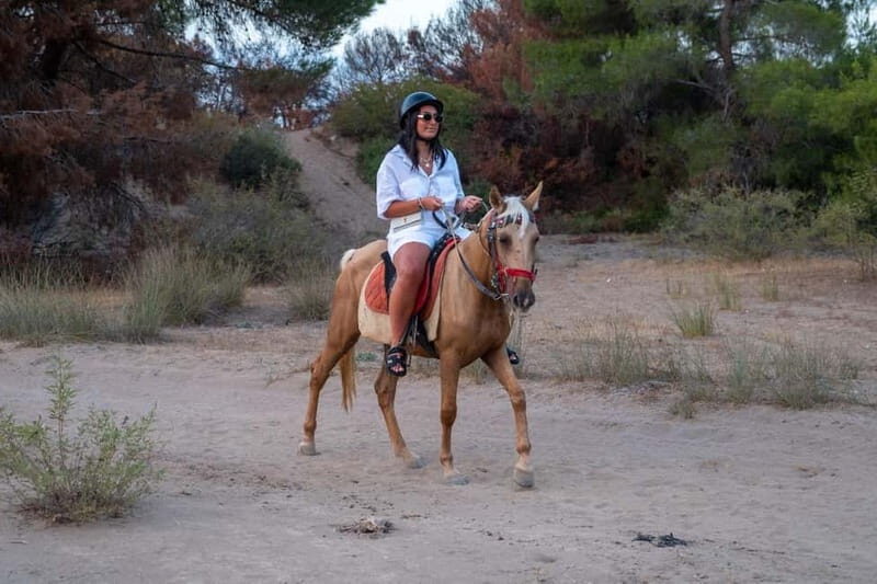 Antalya: Deniz Molal At Safarisi - Final Thoughts on Value and Experience