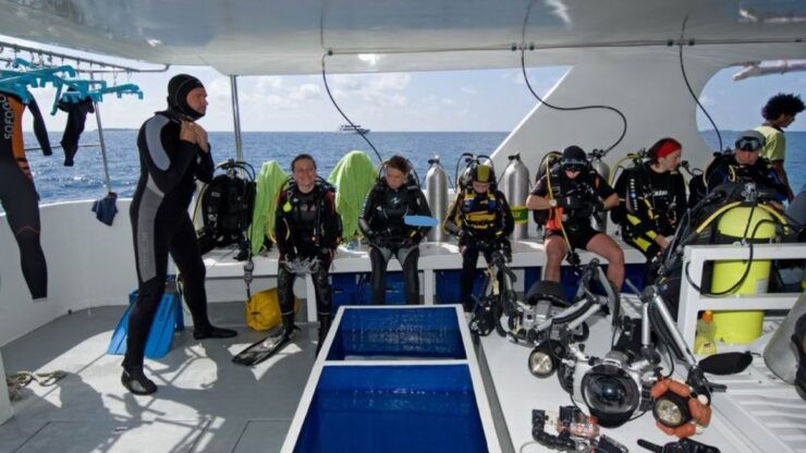 Antalya Diving Discovery: Explore the Deep Sea Secrets - Diving Experience