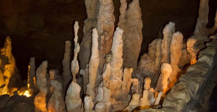 Antalya: Enhanting SpaghettiCave/natural animal figures - What’s Included & What’s Not