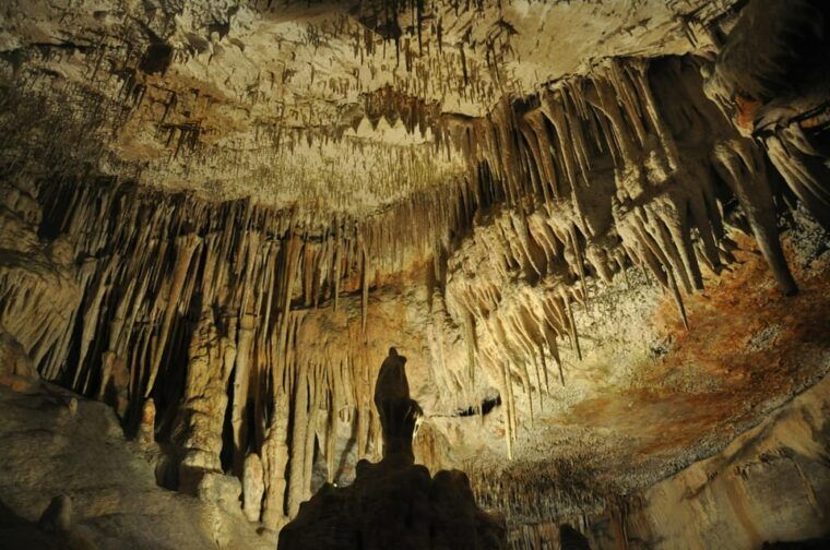 Antalya: Enhanting SpaghettiCave/natural animal figures - The Experience from Reviews: What Travelers Say