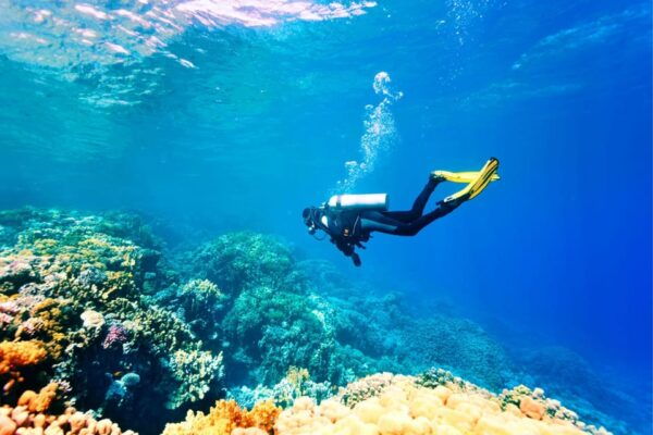 Antalya Exotic & Colourful Diving Tour - Languages and Availability
