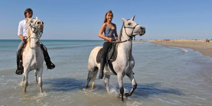 Antalya: Forest & Beach Horse Riding Safari - Activity Details
