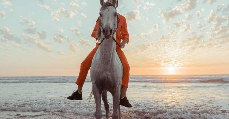Antalya: Forest & Beach Horse Riding Safari - Experience Highlights