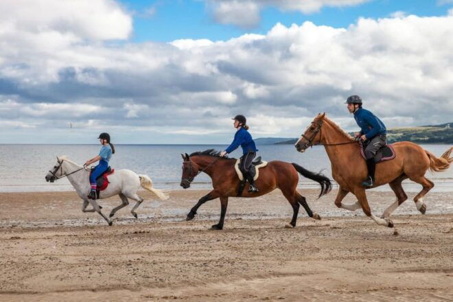 Antalya: Guided ATV and Horse Riding Safari in Lara - Inclusions and Exclusions
