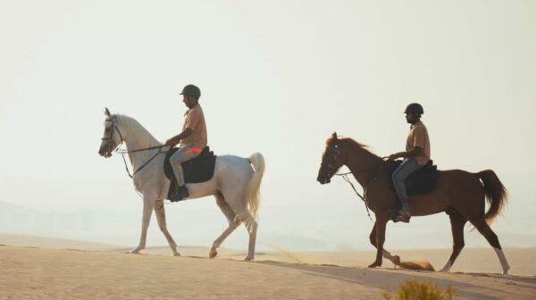 Antalya: Guided ATV and Horse Riding Safari in Lara - Booking Information