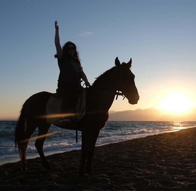 Antalya: Horse Riding on Sea and in the Forest - Practical Details and What to Expect