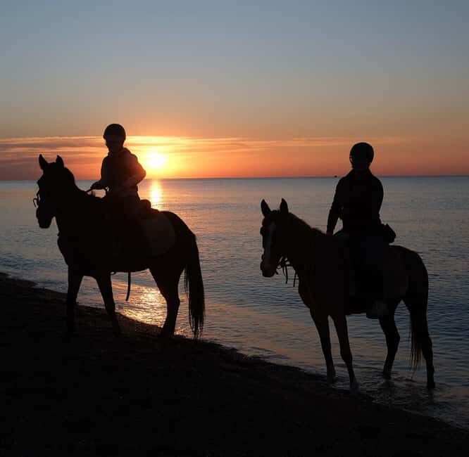 Antalya: Horse Riding on Sea and in the Forest - FAQ