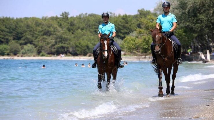 Antalya Horse Safari - Key Points