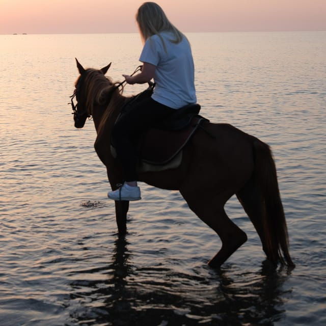 Antalya Horse Safari - Experience Highlights