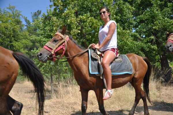 Antalya Horse Safari - What to Expect During the Ride