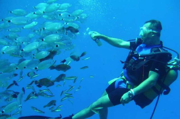 Antalya/ Kemer/ Belek: Scuba Diving With Lunch & Transfer - Experience Highlights