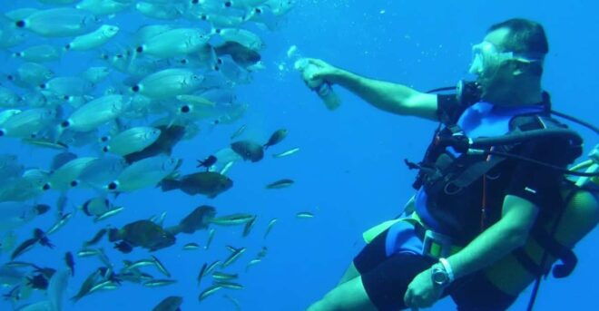 Antalya/ Kemer/ Belek: Scuba Diving With Lunch & Transfer - Inclusions