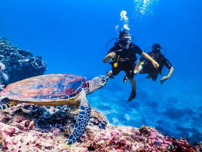 Antalya/ Kemer/ Belek: Scuba Diving With Lunch & Transfer - Participant Guidelines