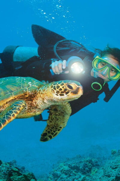 Antalya/ Kemer/ Belek: Scuba Diving With Lunch & Transfer - Booking Process