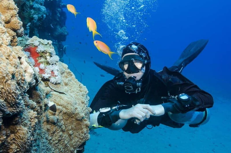 Antalya/Kemer: Scuba Diving Experience with 2 Dives & Lunch - Who Should Try This Tour?
