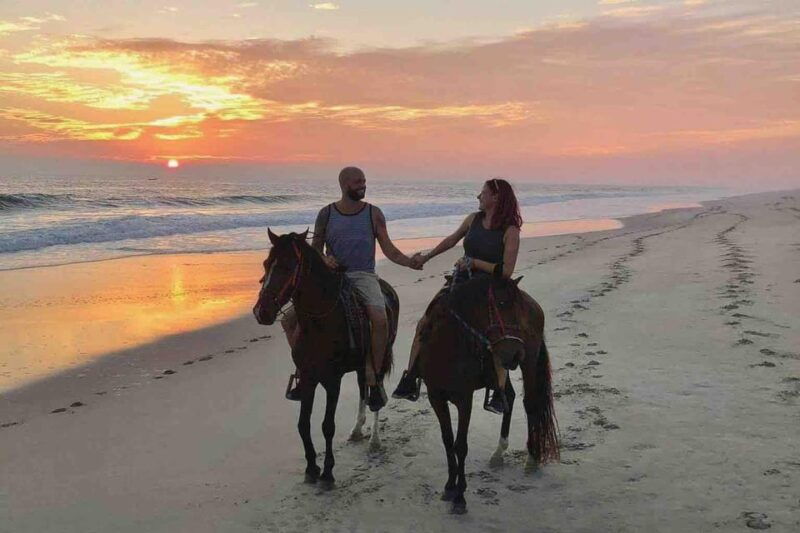 Antalya: Lara Beach & Forrest Horse Riding Safari - Exploring the Itinerary: What You Can Expect