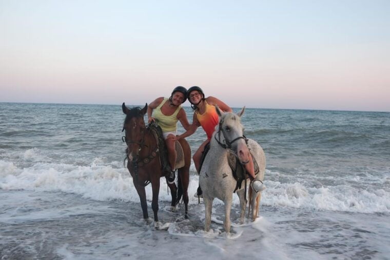 Antalya: Lara Beach & Forrest Horse Riding Safari - The Horses, Guides, and Facilities