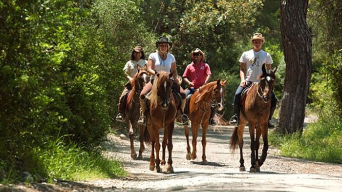 Antalya: Lara Beach & Forrest Horse Riding Safari - Why You Should Consider This Tour