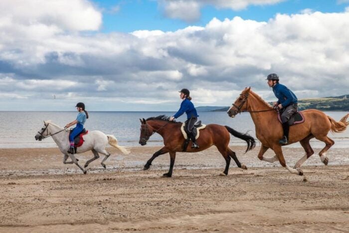 Antalya: Lara Beach & Forrest Horse Riding Safari - In Summary: Who Will Love It?