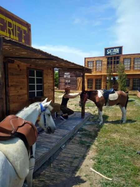 Antalya Lara Horse Riding & Horse Safari - What to Expect