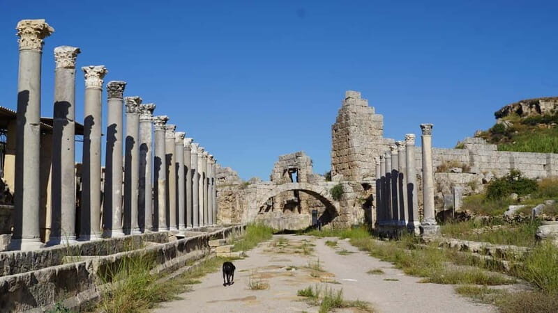 Antalya: Perge Ancient City Tour - Introduction: Why Visit Perge?