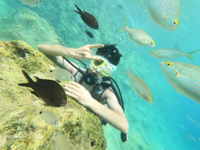 Antalya Scuba Diving Adventure with Expert Diver Option - What to Expect from the Antalya Scuba Diving Tour