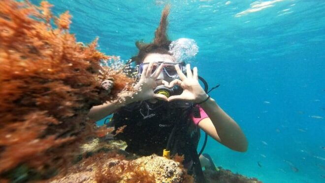 Antalya Scuba Diving Adventure With Expert Diver Option - Customer Reviews