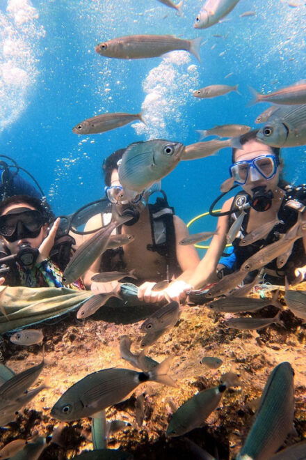 Antalya Scuba Diving by Boat Tours With Lunch - Inclusions and Amenities