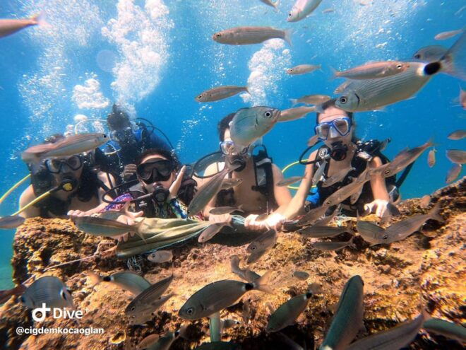 Antalya Scuba Diving by Boat Tours With Lunch - Participant Restrictions