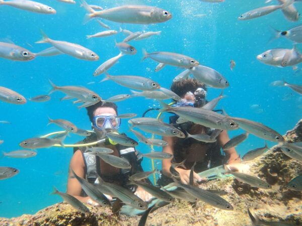 Antalya Scuba Diving by Boat Tours With Lunch - Frequently Asked Questions