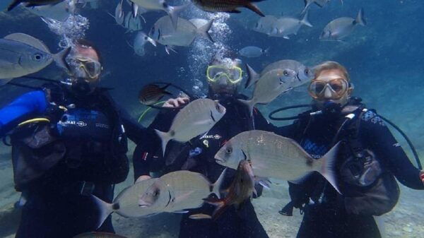 Antalya Scuba Diving Tour, With Lunch & Return Transfers - Ideal for All Ages