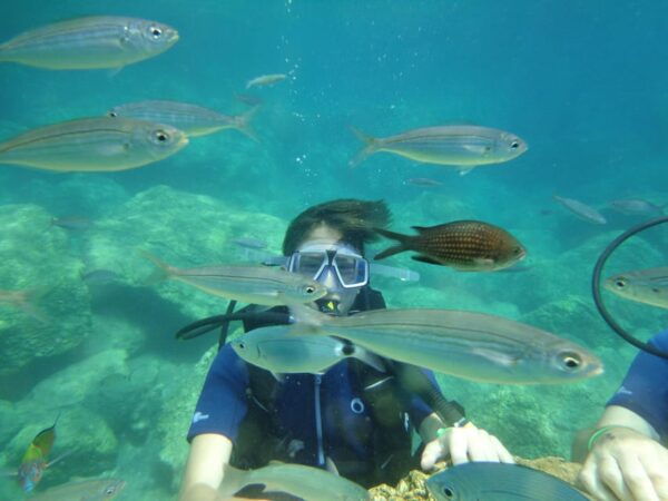 Antalya Scuba Diving Tour, With Lunch & Return Transfers - Booking and Cancellation Policy