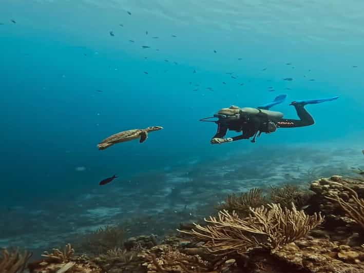 Antalya, Side and Alanya: Scuba Diving with Lunch & 2 Dives - Introduction