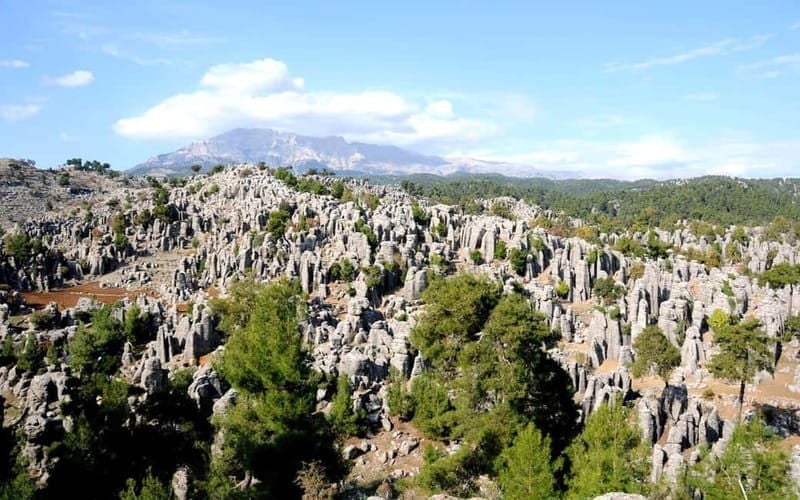 Antalya Taz Canyon &Rafting with Optional Safari Adventures - The Highlight: Rafting in Köprülü Canyon