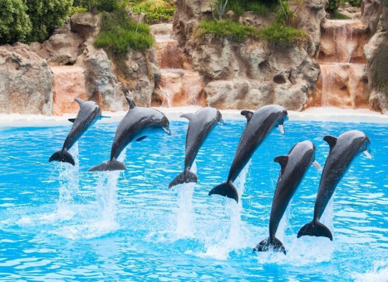 Antalya: The Land Of Legends Ticket Theme Park w/ Transfer - Authentic Experiences and Reviewer Insights