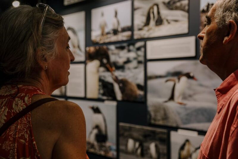 Antarctica Interactive Experience - Good To Know