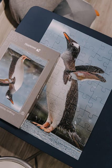 Antarctica Interactive Experience - The Beauty of Antarctica