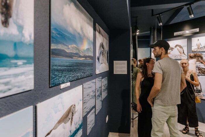 Antarctica Interactive Experience - Experience Inclusions