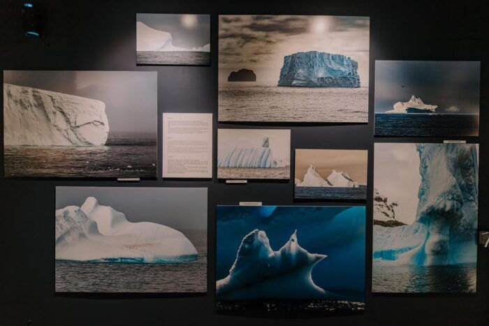 Antarctica Interactive Experience - Interactive Elements of the Exhibition