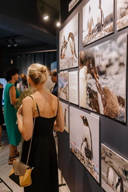 Antarctica Interactive Experience - Booking Your Experience