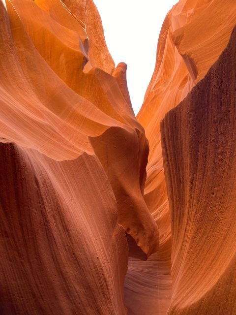 Antelope Canyon and Horseshoe Bend Day Tour from Las Vegas - Who Would Love This Tour?