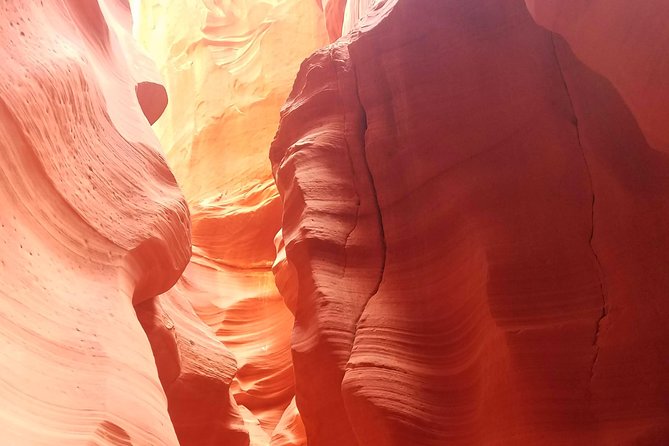 Antelope Canyon, Horseshoe Bend and Lake Powell Tour From Las Vegas - Tour Highlights