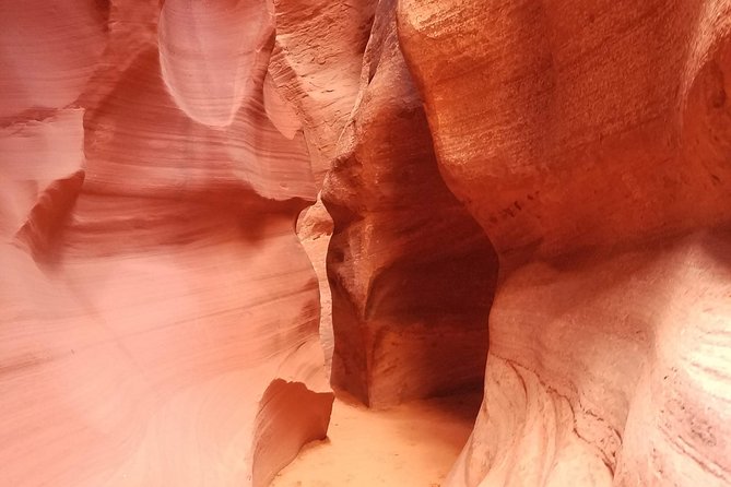 Antelope Canyon, Horseshoe Bend and Lake Powell Tour From Las Vegas - Common Questions