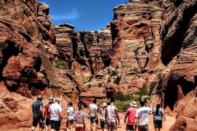 Antelope Canyon & Horseshoe Bend Tour From Las Vegas With Lunch - Highlights and Activities