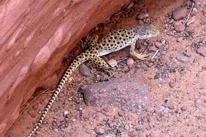 Antelope Canyon Kayak and Hike Slot Canyon - The Sum Up  