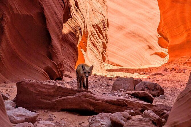 Antelope Canyon Kayak and Hike Slot Canyon - FAQs  